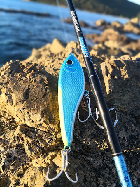 Buster jerk Salwater