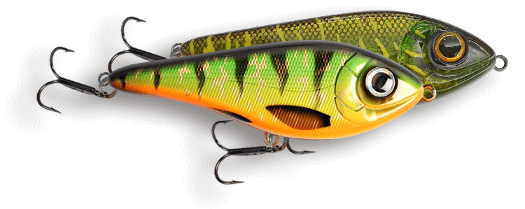 Leurre Brochet & Carnassier Buster Jerk Shallow - version flottant
